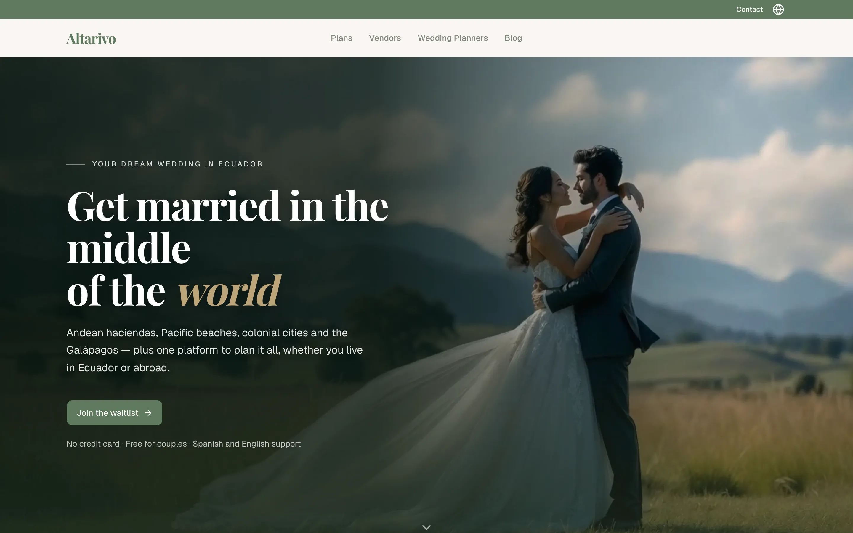 Altarivo — The website